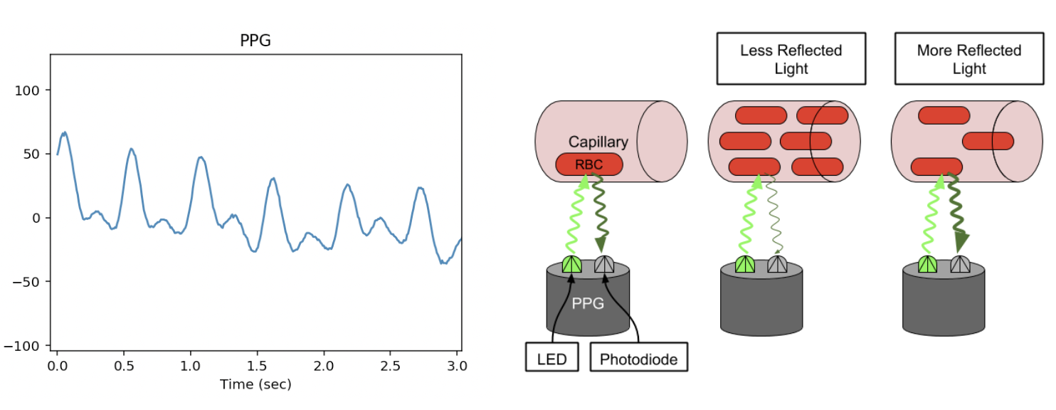 PPG Sensor